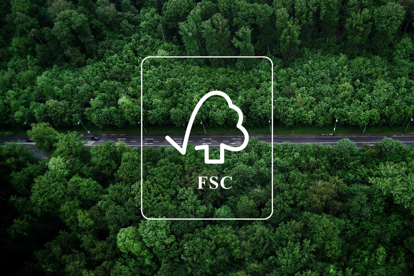 What Does "FSC Certified" Really Mean?cid=257